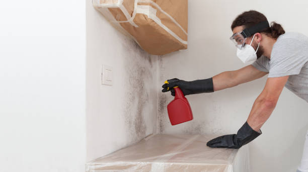 Professional Attic Mold Removal technician working in Marlborough, MA