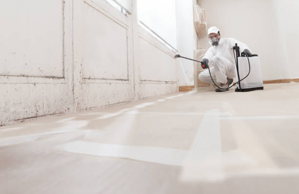 24/7 Emergency Attic Mold Removal experts in Marlborough, MA