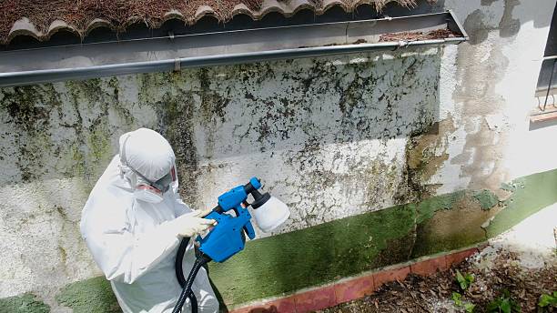 Top rated local Attic Mold Removal specialists in Marlborough, MA